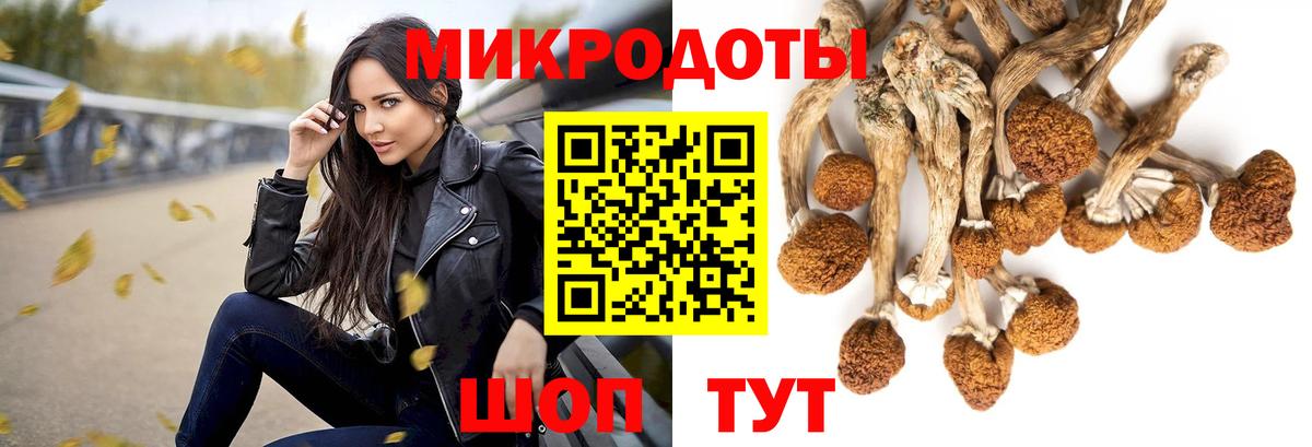 Пыть-Ях  Псилоцибиновые грибы мицелий  Вход с VPN 